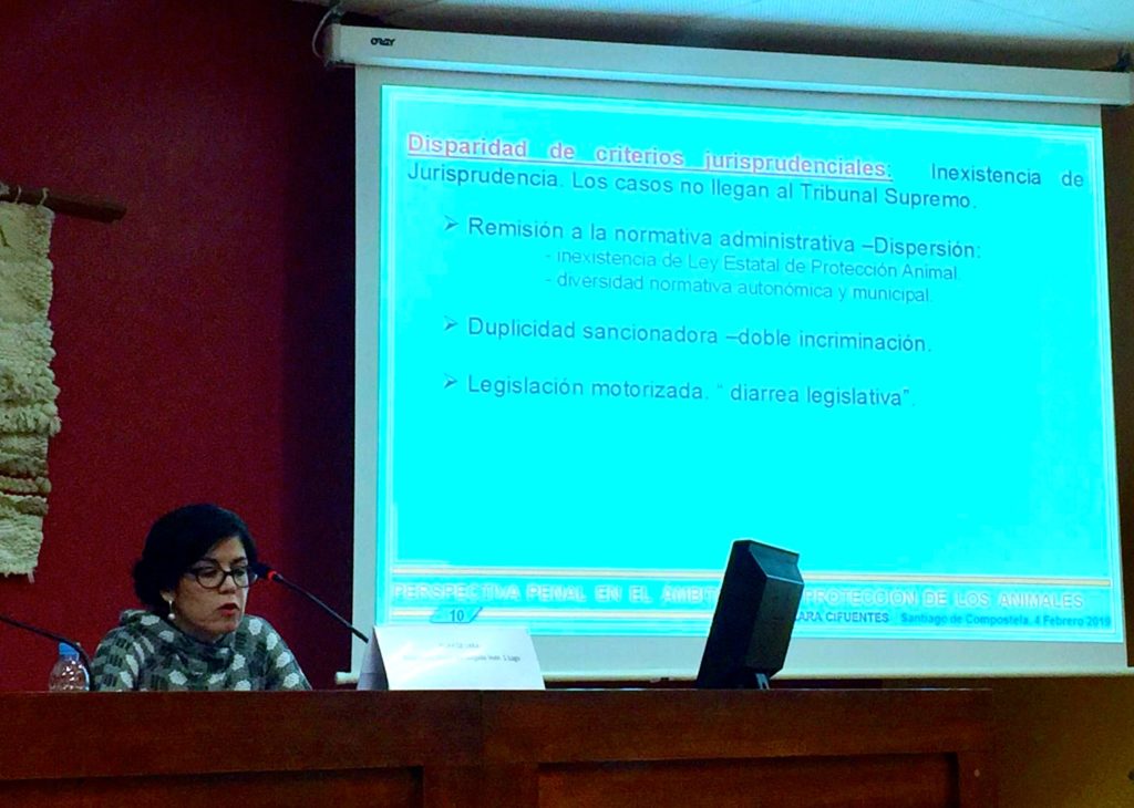 La jueza Pilar de Lara en un momento de su ponencia en la USC