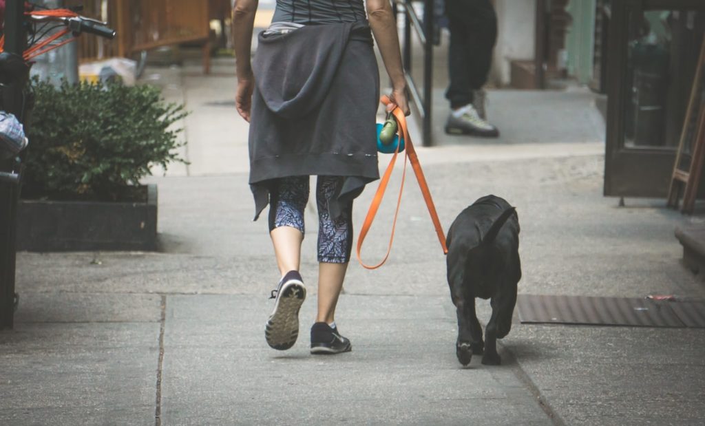 Mujer y perro paseando